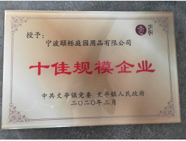 2019年度十佳规模企业(丈亭)