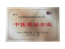 2019年度十佳规模企业(丈亭)